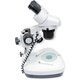 Бінокулярний мікроскоп ZTX-20 -C2 (20x; 2x/4x) Прев'ю 3